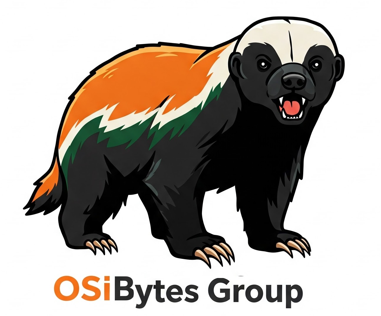 OSIBYTES GROUP LLC